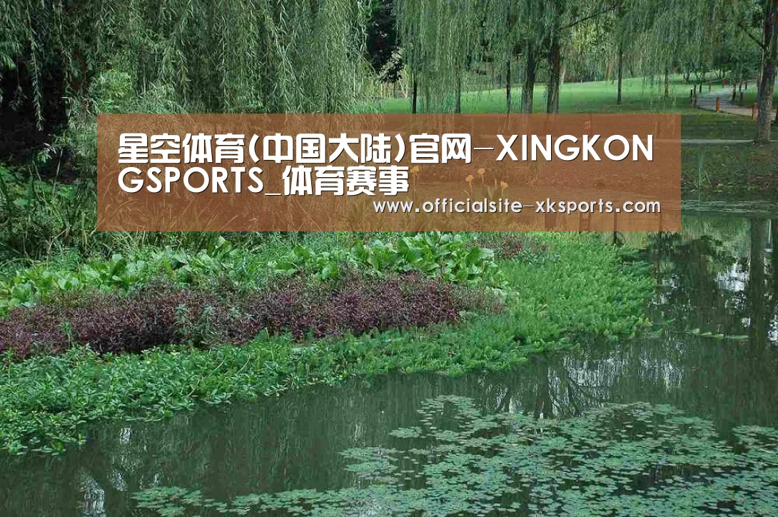案例展示一(图1)