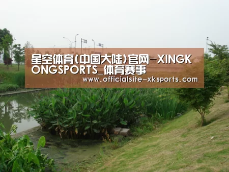 案例展示四(图1)