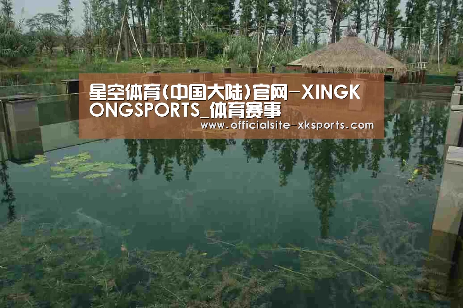案例展示二(图1)