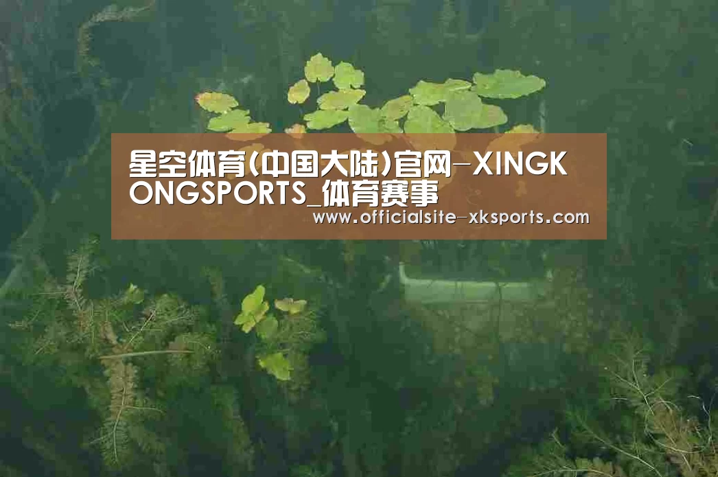 案例展示三