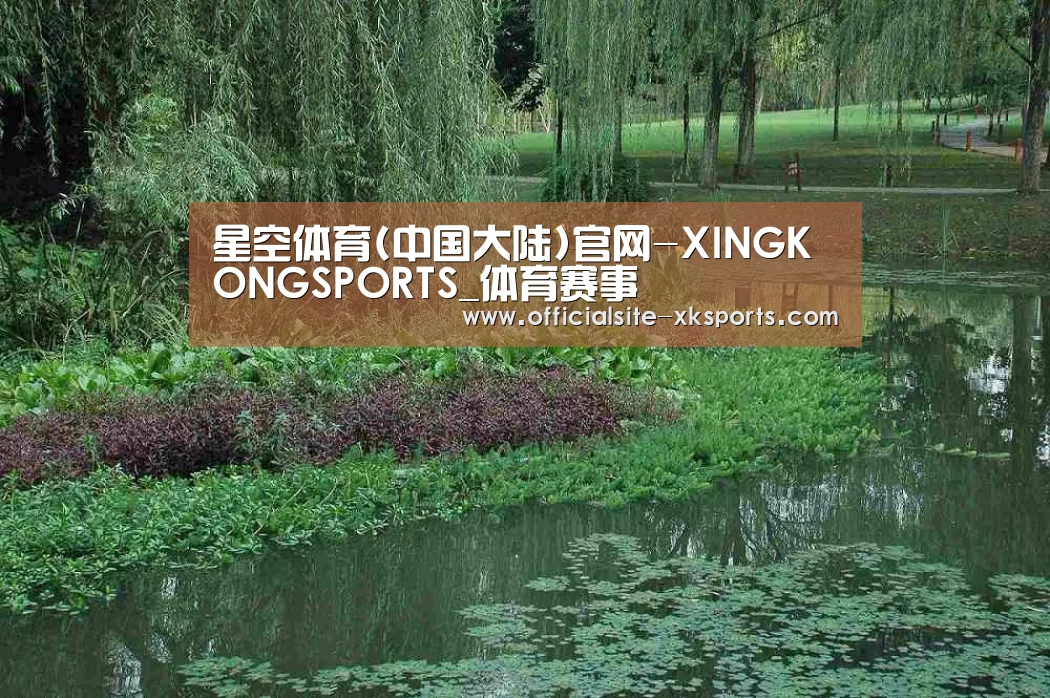 案例展示一