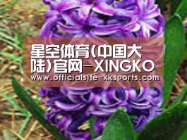 产品名称八