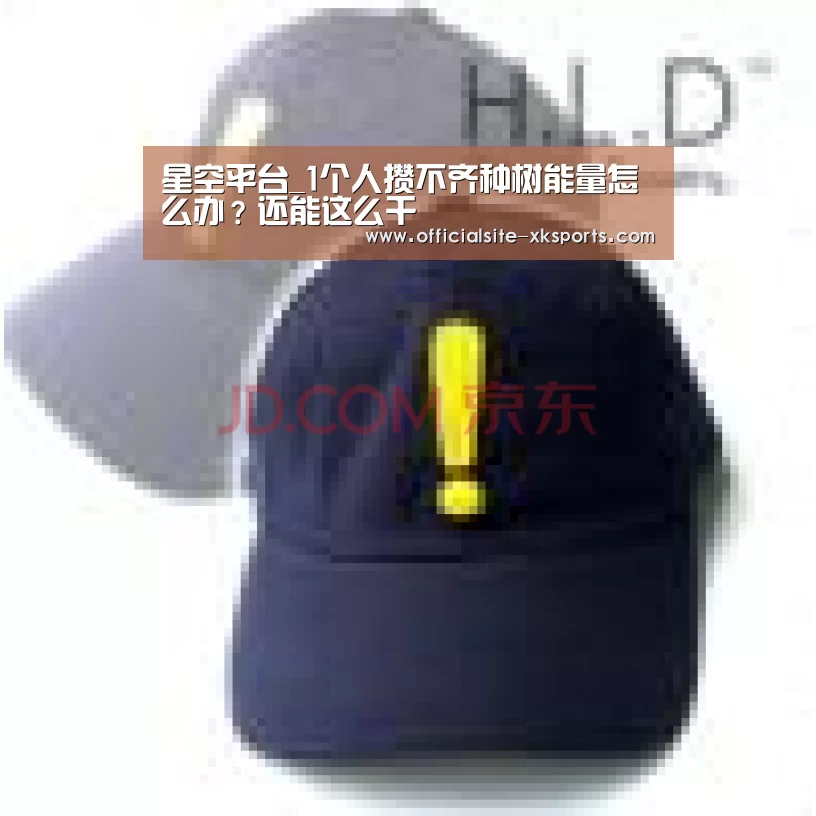 星空体育APP