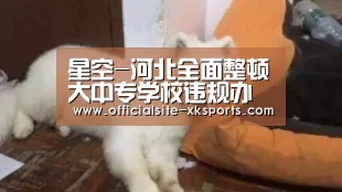 星空官网