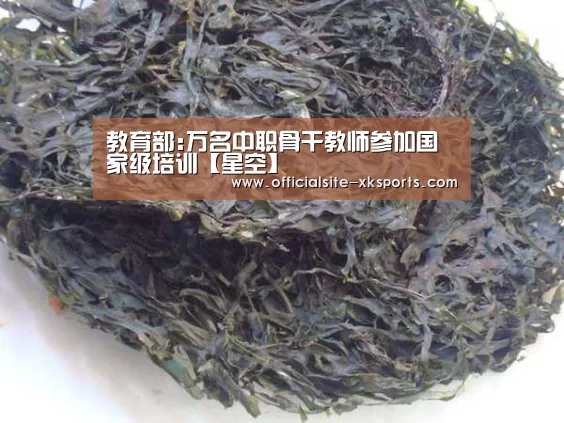 星空官网
